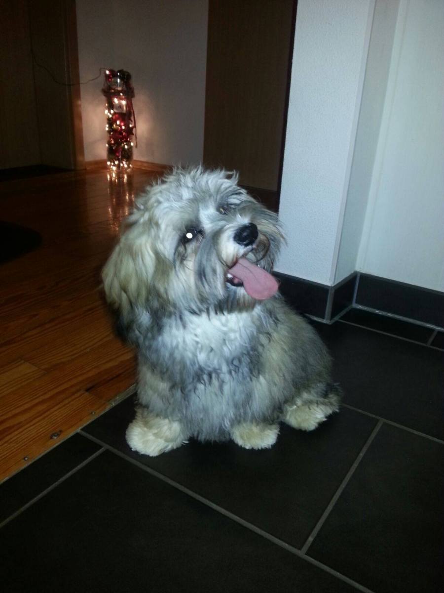 Aris besucht seine Mama Nala und Schwester Arya