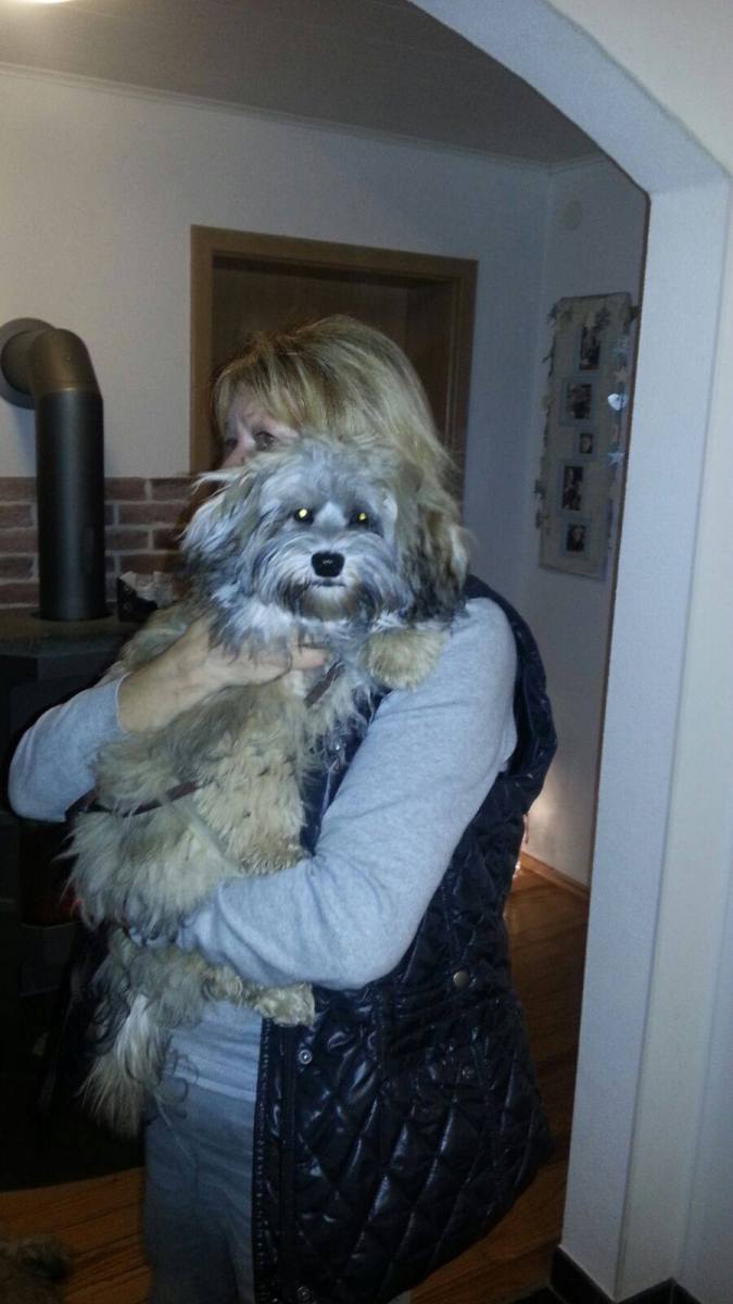 Aris besucht seine Mama Nala und Schwester Arya