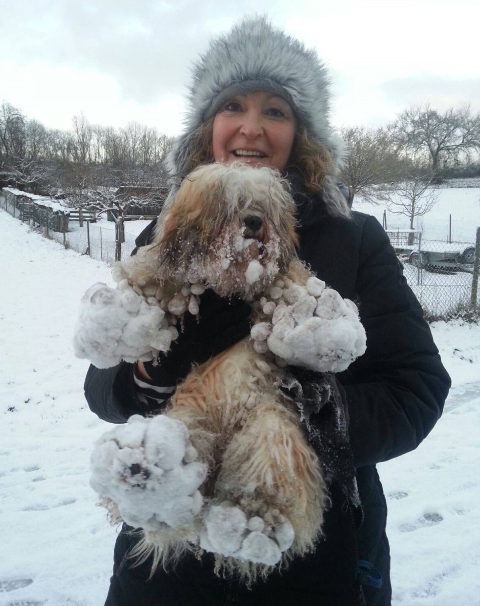 Dieser doofe Schnee :)