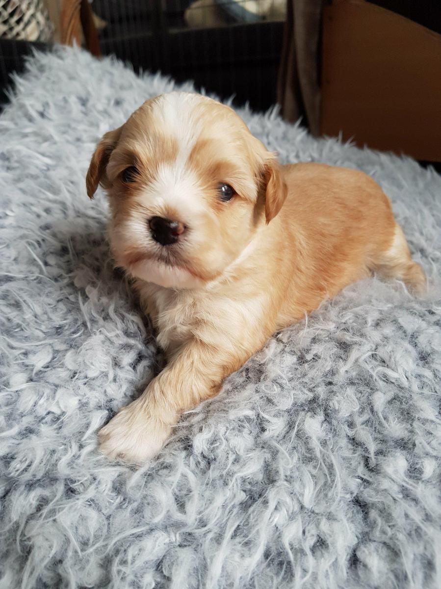 Einstein von der Neckartaler Struwwelbande